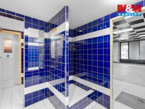 Pronájem obchodního prostoru, Kladno, Kordačova, 350 m2