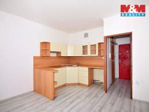 Pronájem bytu 1+1, Děčín - Děčín VI-Letná, Školní, 35 m2