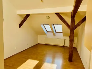 Pronájem bytu 2+kk, Brno, Ptašínského, 53 m2