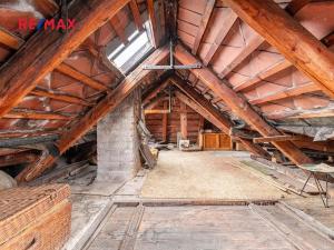 Prodej rodinného domu, Radnice, Dědická, 175 m2