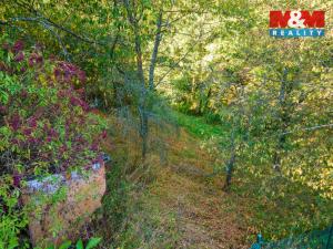 Prodej pozemku pro bydlení, Plasy, 685 m2