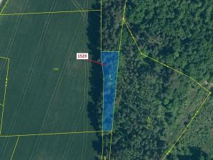 Dražba lesa, Hradiště, 645 m2