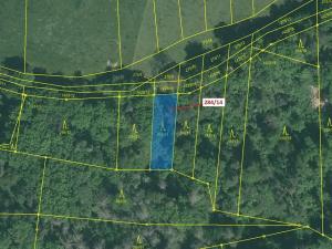 Dražba lesa, Milavče, 441 m2