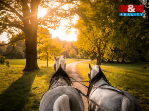Prodej rodinného domu, Kladruby nad Labem - Kolesa, 200 m2