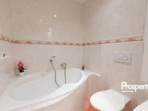 Pronájem bytu 2+1, Ústí nad Labem - Střekov, Kamenná, 50 m2