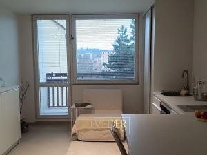 Pronájem bytu 1+kk, Teplice, Petra Jilemnického, 26 m2