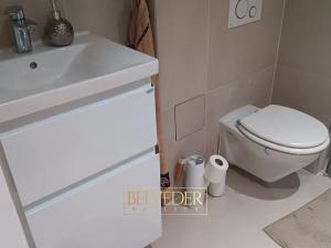 Pronájem bytu 1+kk, Teplice, Petra Jilemnického, 26 m2