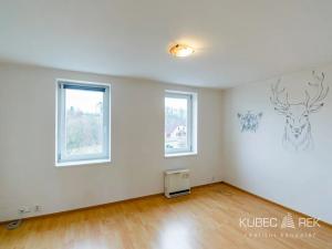 Pronájem bytu 5+1, Borotín, 150 m2