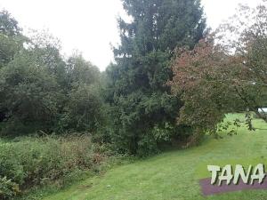 Prodej pozemku pro bydlení, Mladějov, 382 m2