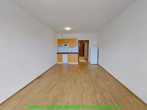 Pronájem bytu 1+kk, Praha - Žižkov, Olšanská, 33 m2