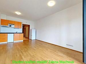 Pronájem bytu 1+kk, Praha - Žižkov, Olšanská, 33 m2
