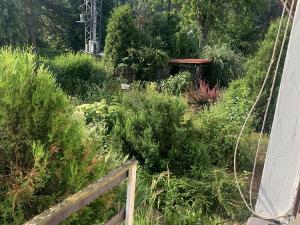 Prodej rodinného domu, Hranice - Hranice V-Rybáře, 150 m2