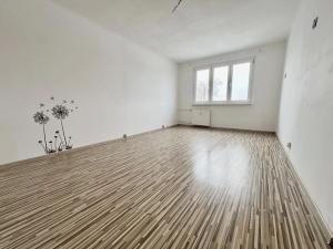 Pronájem bytu 2+1, Chodov, Revoluční, 56 m2