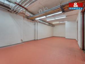 Pronájem skladu, Plzeň, Sousedská, 47 m2