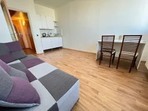 Pronájem bytu 1+kk, Brno, Halasovo náměstí, 21 m2