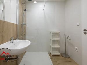 Pronájem bytu 1+kk, Ostrava, Cihelní, 17 m2