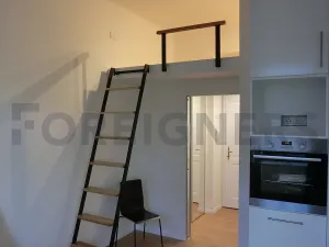 Pronájem bytu 2+kk, Praha - Žižkov, Ježkova, 37 m2