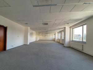 Pronájem kanceláře, Brno - Žabovřesky, Veveří, 50 m2