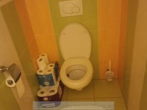 Pronájem pokoje, Praha - Břevnov, Tomanova, 15 m2