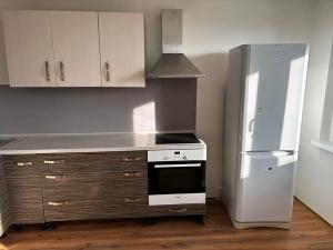 Prodej bytu 3+1, Litvínov, Hamerská, 69 m2