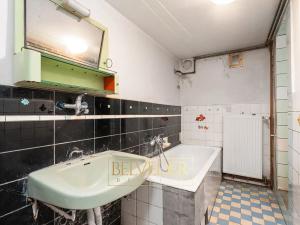 Prodej rodinného domu, Bořislav, 195 m2