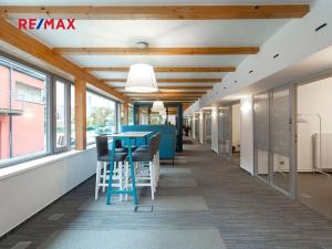 Pronájem kanceláře, Praha - Hodkovičky, Pod kopcem, 114 m2