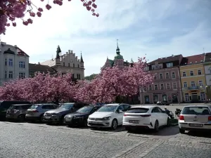 Prodej bytu 1+kk, Děčín, Pohraniční, 20 m2