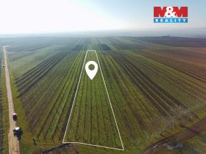 Prodej pole, Velké Bílovice, 7286 m2