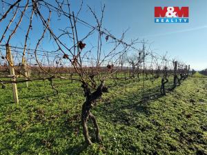 Prodej pole, Velké Bílovice, 3600 m2