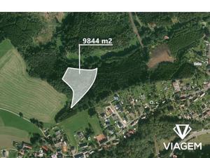 Prodej podílu lesa, Velké Petrovice, 4922 m2