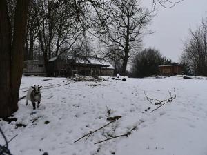 Prodej pozemku pro bydlení, Varnsdorf, 1077 m2