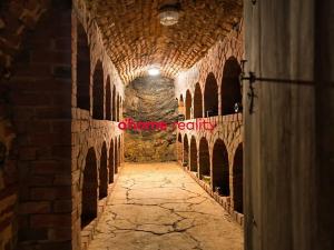 Prodej domu, Luka nad Jihlavou, Nádražní, 2812 m2