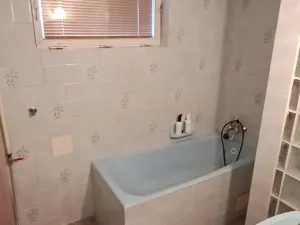 Prodej rodinného domu, Lomnička, 300 m2