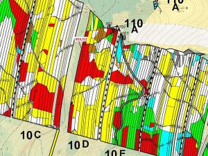 Dražba lesa, Nová Hradečná, 12014 m2