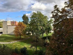 Pronájem bytu 1+1, Praha - Lhotka, Jílovská, 45 m2