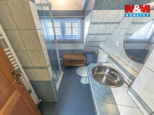 Prodej chalupy, Vysoké nad Jizerou - Horní Tříč, 250 m2