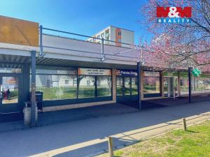Pronájem obchodního prostoru, Mladá Boleslav - Mladá Boleslav II, Krátká, 265 m2