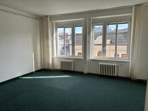 Pronájem bytu 1+1, Kladno, T. G. Masaryka, 66 m2