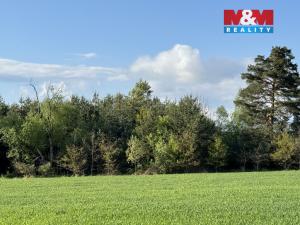 Prodej komerčního pozemku, Homole, 10254 m2