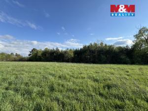 Prodej komerčního pozemku, Homole, 10254 m2