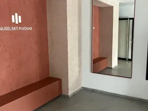 Pronájem bytu 2+kk, Praha - Nusle, Muzikova, 51 m2