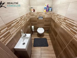 Pronájem rodinného domu, Zborovice, Lesní, 345 m2