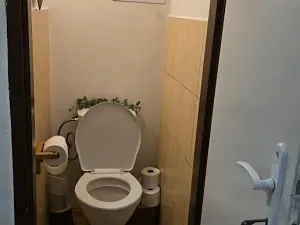 Pronájem pokoje, Praha - Holešovice, Bubenská, 18 m2