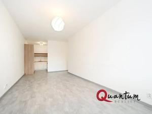 Pronájem bytu 2+kk, Praha, Remízková, 53 m2