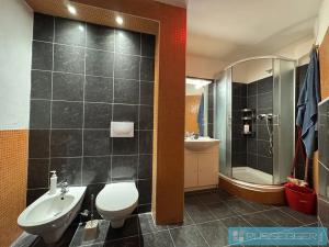 Pronájem bytu 1+1, Brno, Čápkova, 58 m2