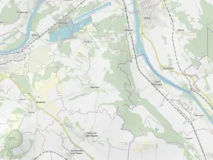 Prodej lesa, Bechlín, 31569 m2