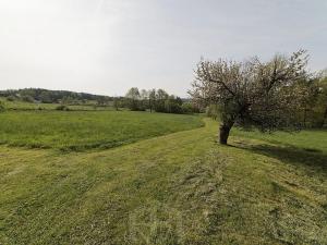 Prodej zemědělské usedlosti, Slabčice, 109 m2