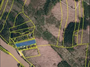 Prodej lesa, Jihlava, 3272 m2