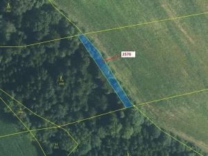 Dražba lesa, Písečná, 447 m2