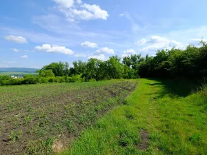 Prodej zahrady, Uherský Brod, 2032 m2